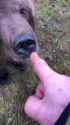 1679694659822383_thumb.jpg