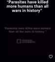 history channel_thumb.jpg