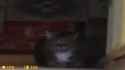 16550401107122_thumb.jpg