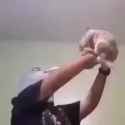 birb_thumb.jpg