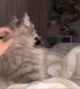1684200788471016_thumb.jpg