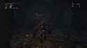 Bloodborne Fuck This Shit_thumb.jpg