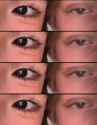 WMAF eyes_thumb.jpg