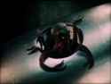 War of the Worlds test footage_thumb.jpg