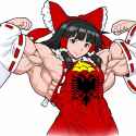 reimu_thumb.jpg