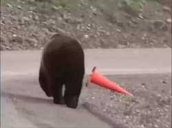 Thread 5887804 OP Image