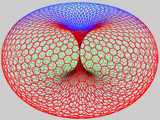 torus