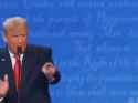 Trump Biden Wojak Debate_thumb.jpg