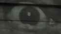 Xasthur - Horizon Of Plastic Caskets_thumb.jpg