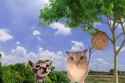 notwebms (1)_thumb.jpg
