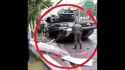 Military Tank Hits Electricity Pole _ Military Tan_original_thumb.jpg
