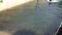 Watertank_thumb.jpg