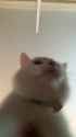 1679330477934575_thumb.jpg