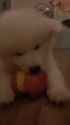 1654628008560_thumb.jpg
