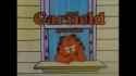 garfield_spider_thumb.jpg
