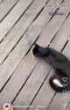 1726260655694226_thumb.jpg