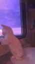 AQMMophxtGllM42D3EAsPciyQzjpPO_UHRqr5bPUbeqhNocUOflMASWyq5iu2B2tZ9VfiGRKj7M0nZxqQVcB8wKiB-tgG8pLf5iA4-c_thumb.jpg