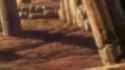 Saint Seiya - The Lost Canvas_thumb.jpg
