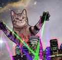 catinvasion_thumb.jpg