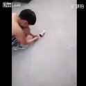 deez_nuts_1749173670847675_thumb.jpg