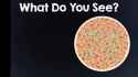 Colourblind Test - Can you see every colour？ [ZzUsKizhb8o]_thumb.jpg
