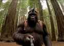 Mericamemed-1930965396934267364-01_thumb.jpg