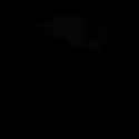 1918235646235123712_thumb.jpg