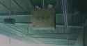 P2_ambience_thumb.jpg