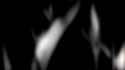 Witchblade OP2 360 37-07_thumb.jpg