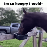 1718839940185699