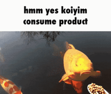 1728258672590009