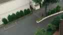 Amazing Siren is scary (Audio)_thumb.jpg