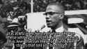 malcolmx_jews_thumb.jpg