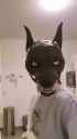Willow Creative articulated wolf mask__thumb.jpg