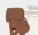 1659331292516805_thumb.jpg
