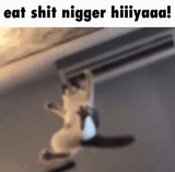 eat shit nigger