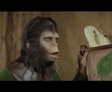 planet of the apes - oh really