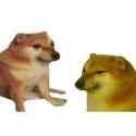 nge dogs_thumb.jpg
