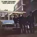 Flamin&#039; Groovies - Shake Some Action_thumb.jpg