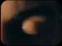 Accelerate 02_thumb.jpg