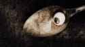 Eraserhead OST - Lady in the Radiator (The Pixies John Peel Session)_thumb.jpg