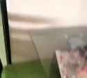 1735286753270081_thumb.jpg