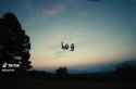 Download (13)_thumb.jpg