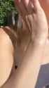 7834589456984567908_thumb.jpg