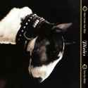 The Pixies - Wave Of Mutilation_thumb.jpg