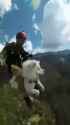 flying_dog_mount_thumb.jpg