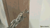 automate