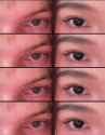 WMAF eye trend_thumb.jpg