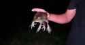 VID_20250620_190251_066_thumb.jpg