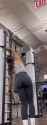 stream-video - 2025-05-27T085559.582 (online-video-cutter.com) (1)_thumb.jpg